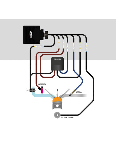 Rapid Bike Control Unit RACING Limited Edition with cable Kit for Panigale V4 / V4S 2021-2023