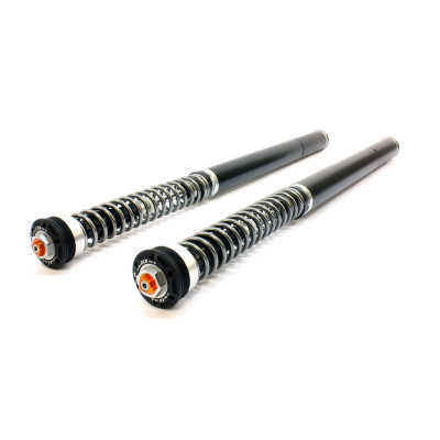 TracTive Front Fork Cartridges X-TREME PRO for BMW F 900 GS 2024 -