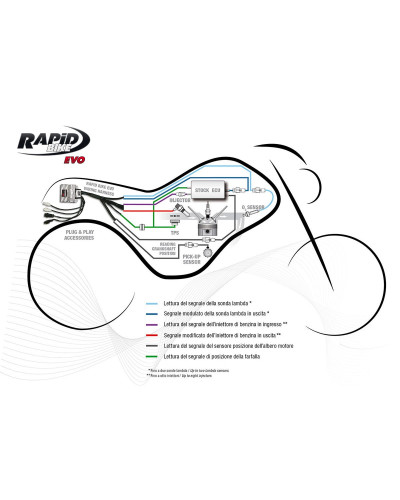 Centralina Rapid Bike EVO Kit con cablaggio