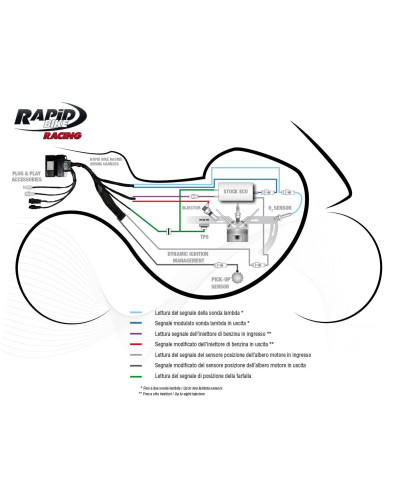 Centralina Rapid Bike RACING Kit con cablaggio