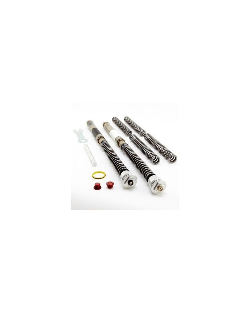 Front Fork Cartridges DDS K-Tech for Suzuki GSX-R 1000 2012-2021 SHOWA BPF