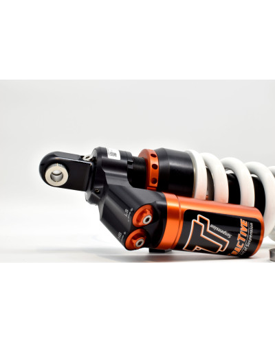 TracTive Suspension EX-PERIENCE EPA rear shock absorb for BMW R1200 GS / R1250 GS ADV 2014-2021