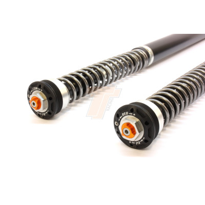 TracTive Suspension Front Fork Cartridges X-TREME (low -30mm) for KTM 1190 ADV R 2014-2016